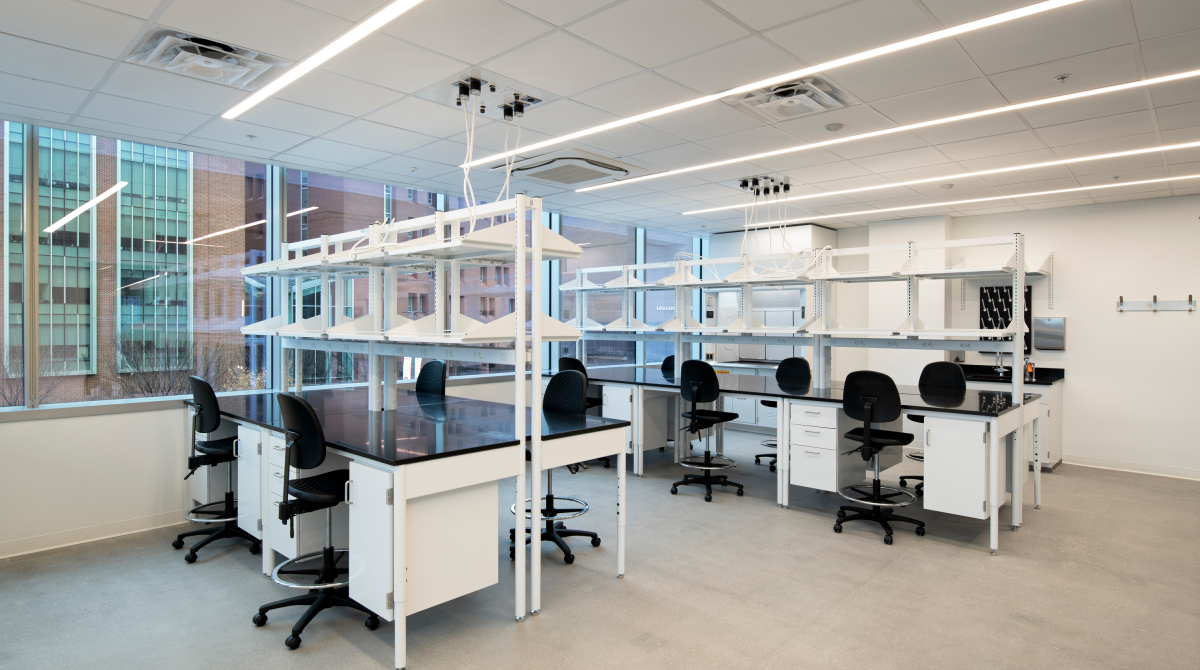 Empty wet lab with four rows of benches 