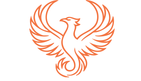 Logo with an orange Phoenix bird above the text Space Phoenix Systems